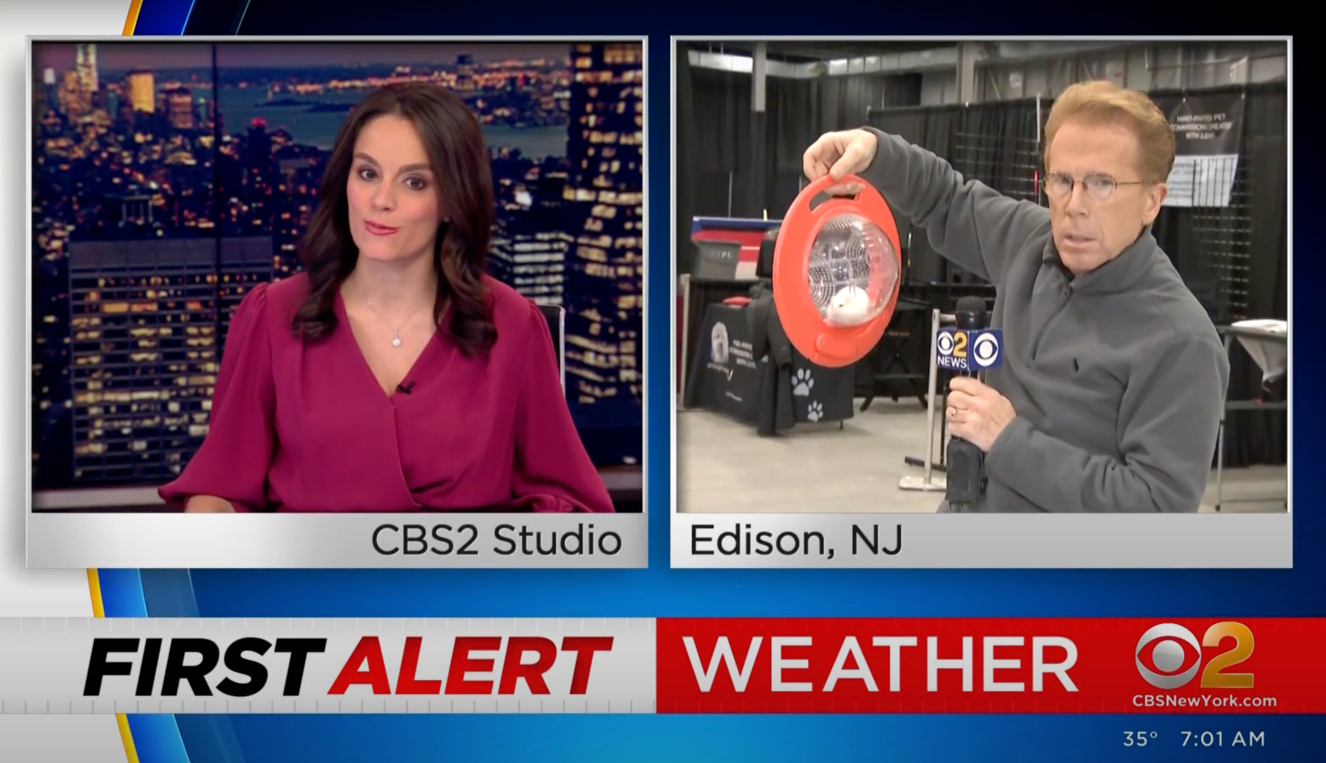 アメリカの主流メディアであるCBSに出演する持ち運び可能なハムスターボール「Halo」